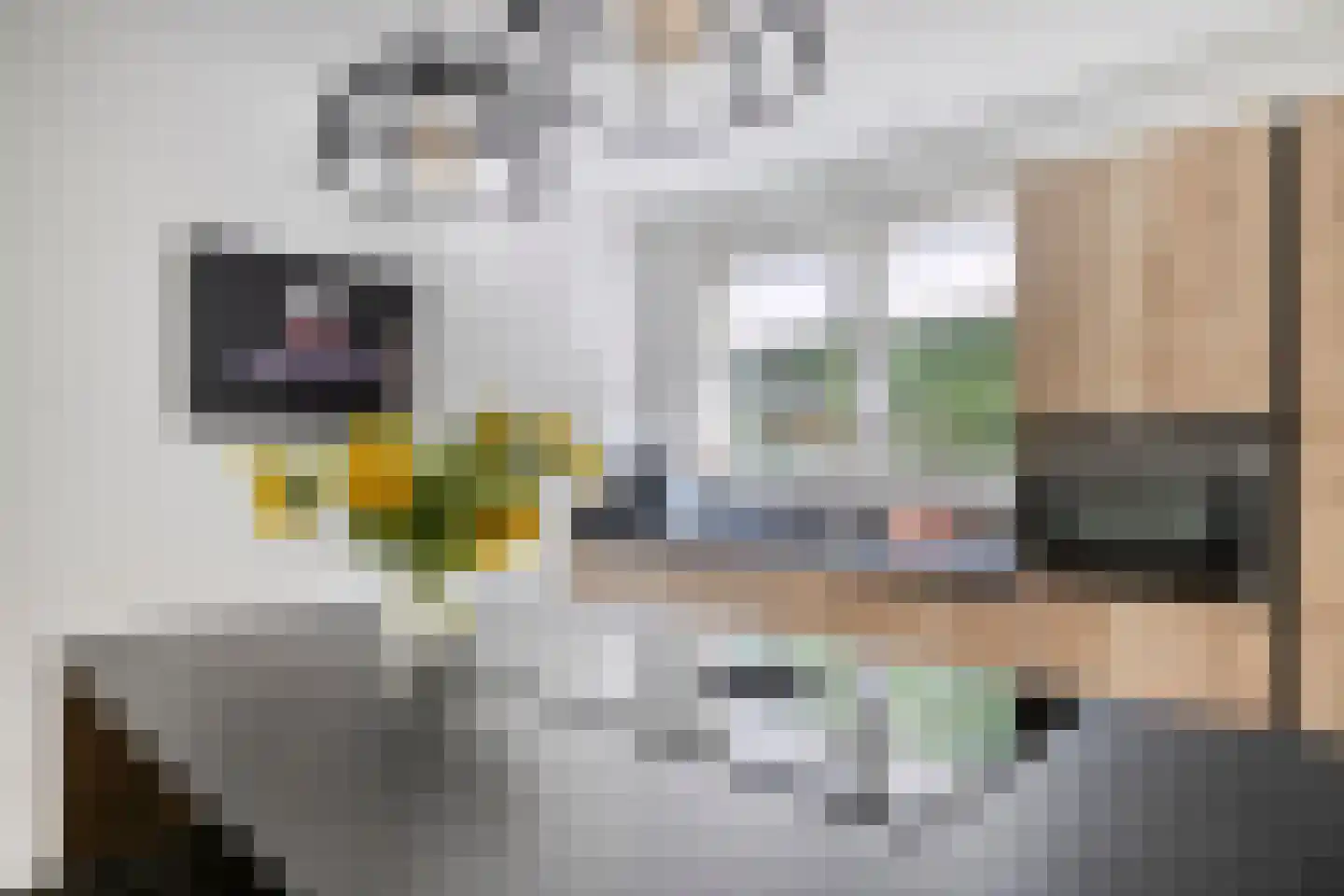 Beekweg 32 Venray thumbnail 13