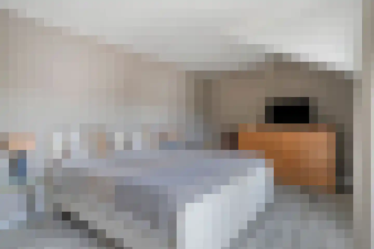 Beekweg 32 Venray thumbnail 19