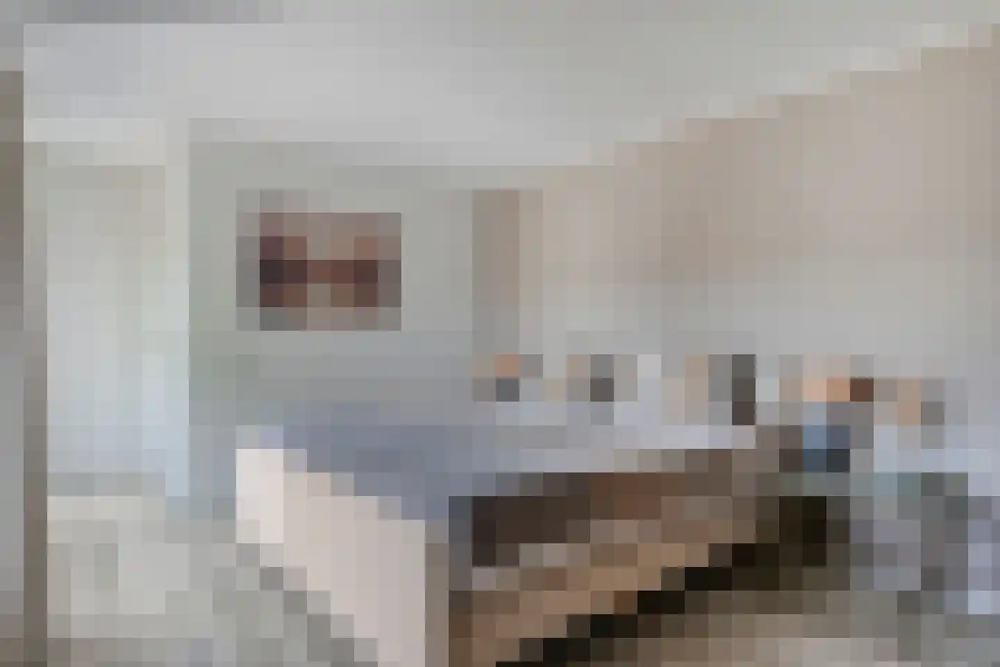 Beekweg 32 Venray thumbnail 20
