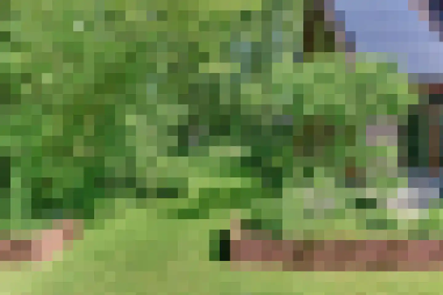 Beekweg 4 Hierden thumbnail 111