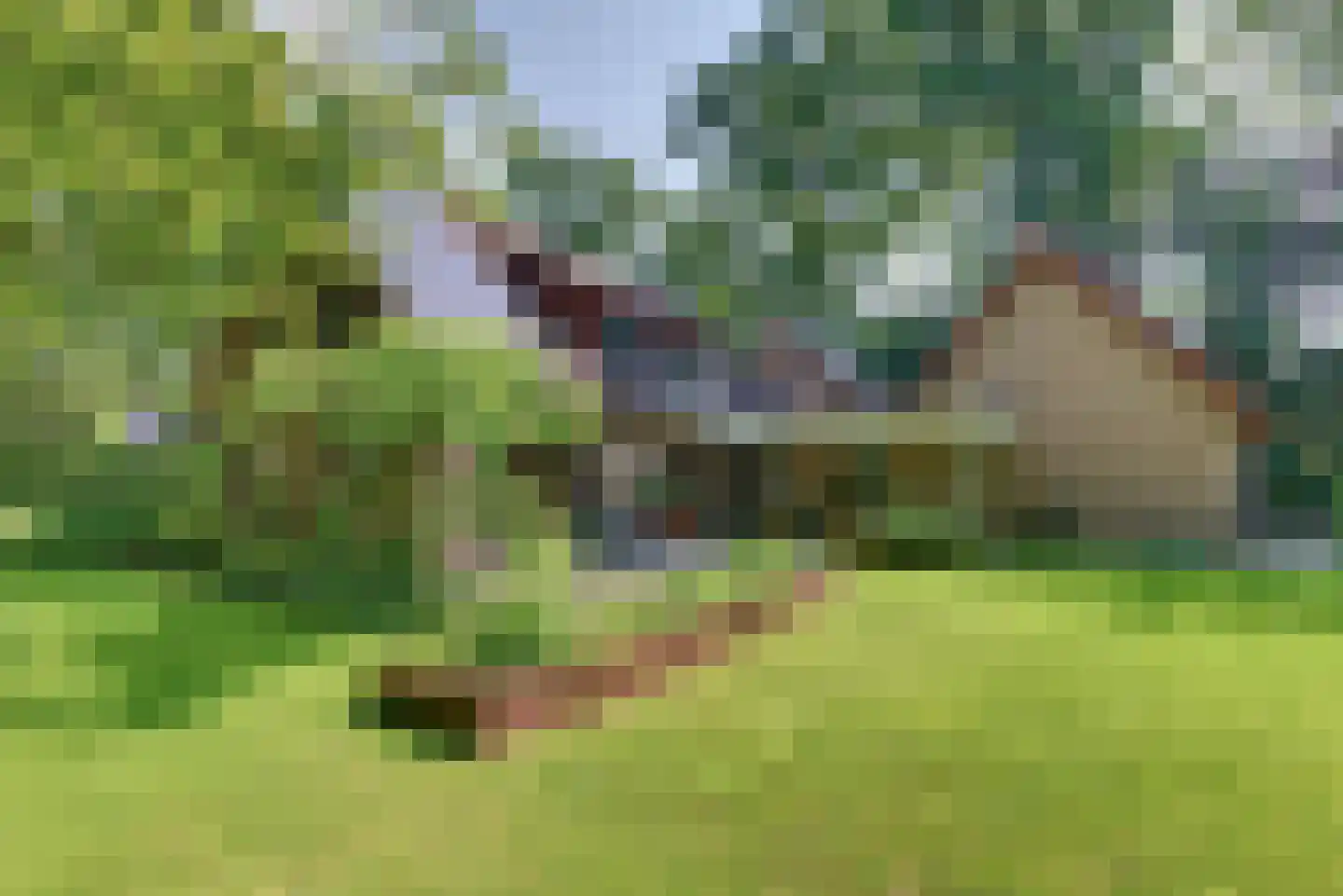 Beekweg 4 Hierden thumbnail 112