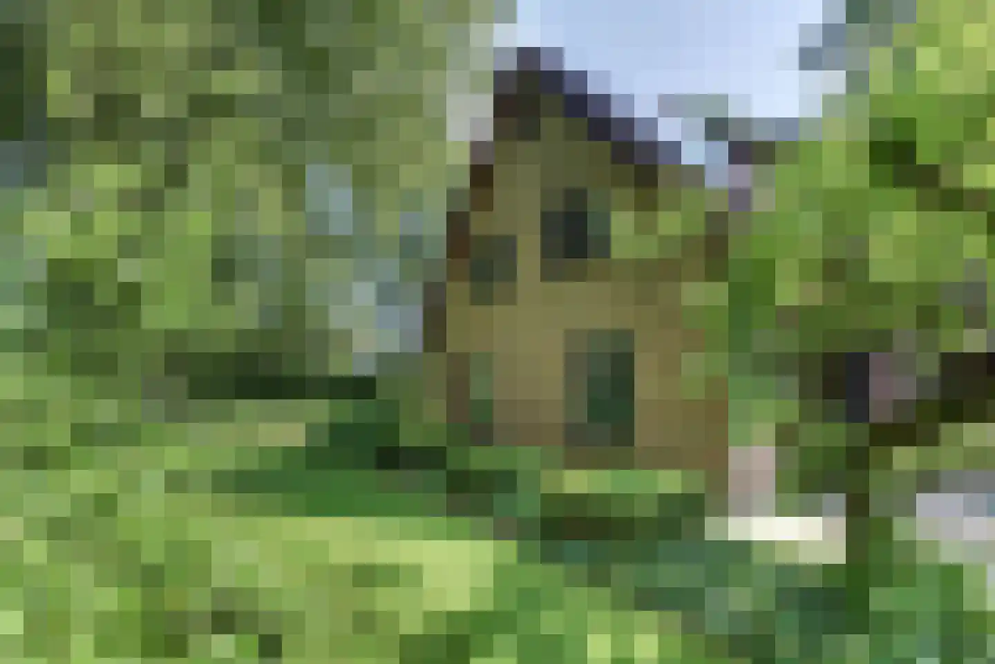 Beekweg 4 Hierden thumbnail 113