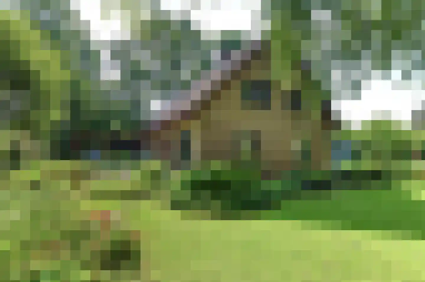 Beekweg 4 Hierden thumbnail 114