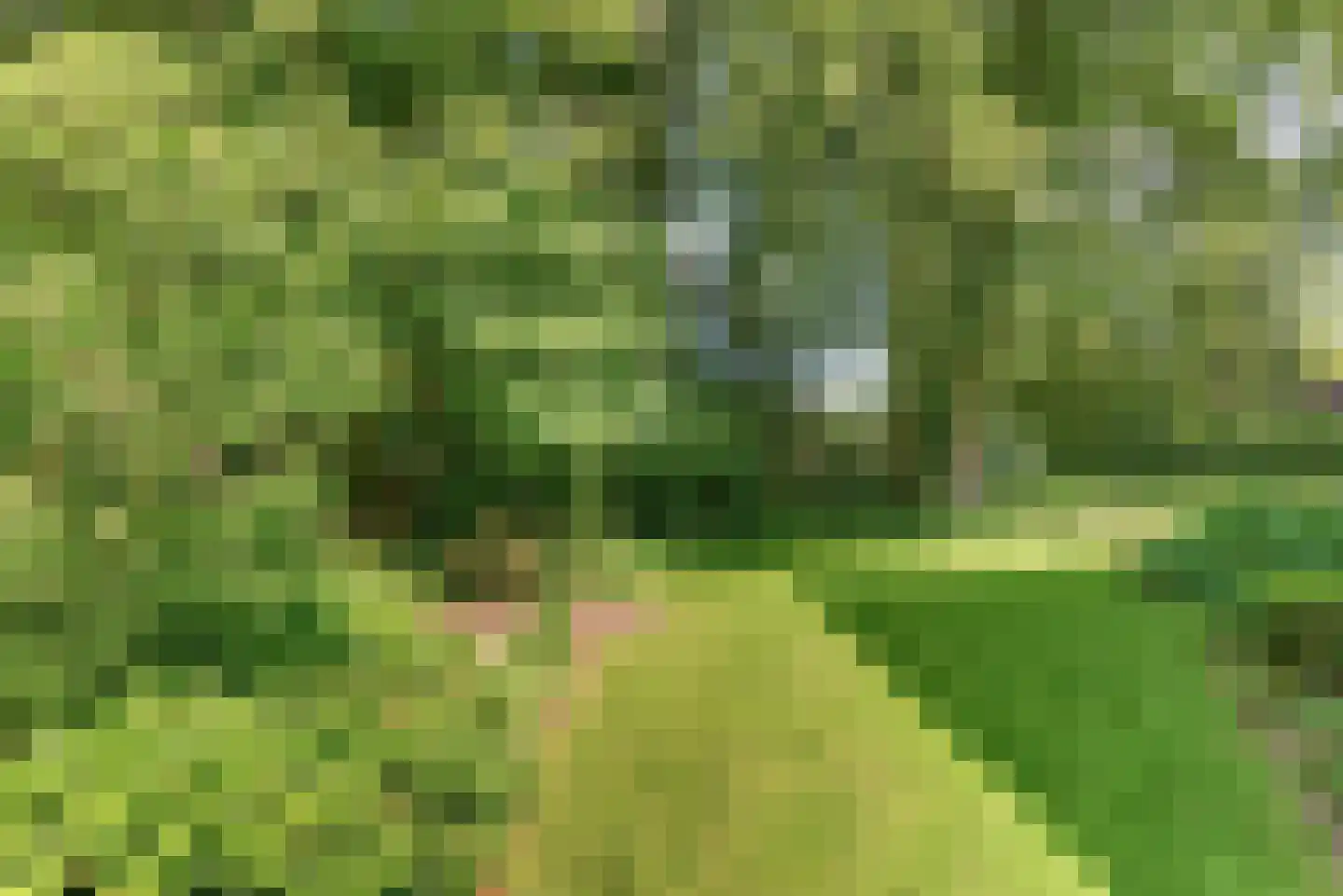 Beekweg 4 Hierden thumbnail 115