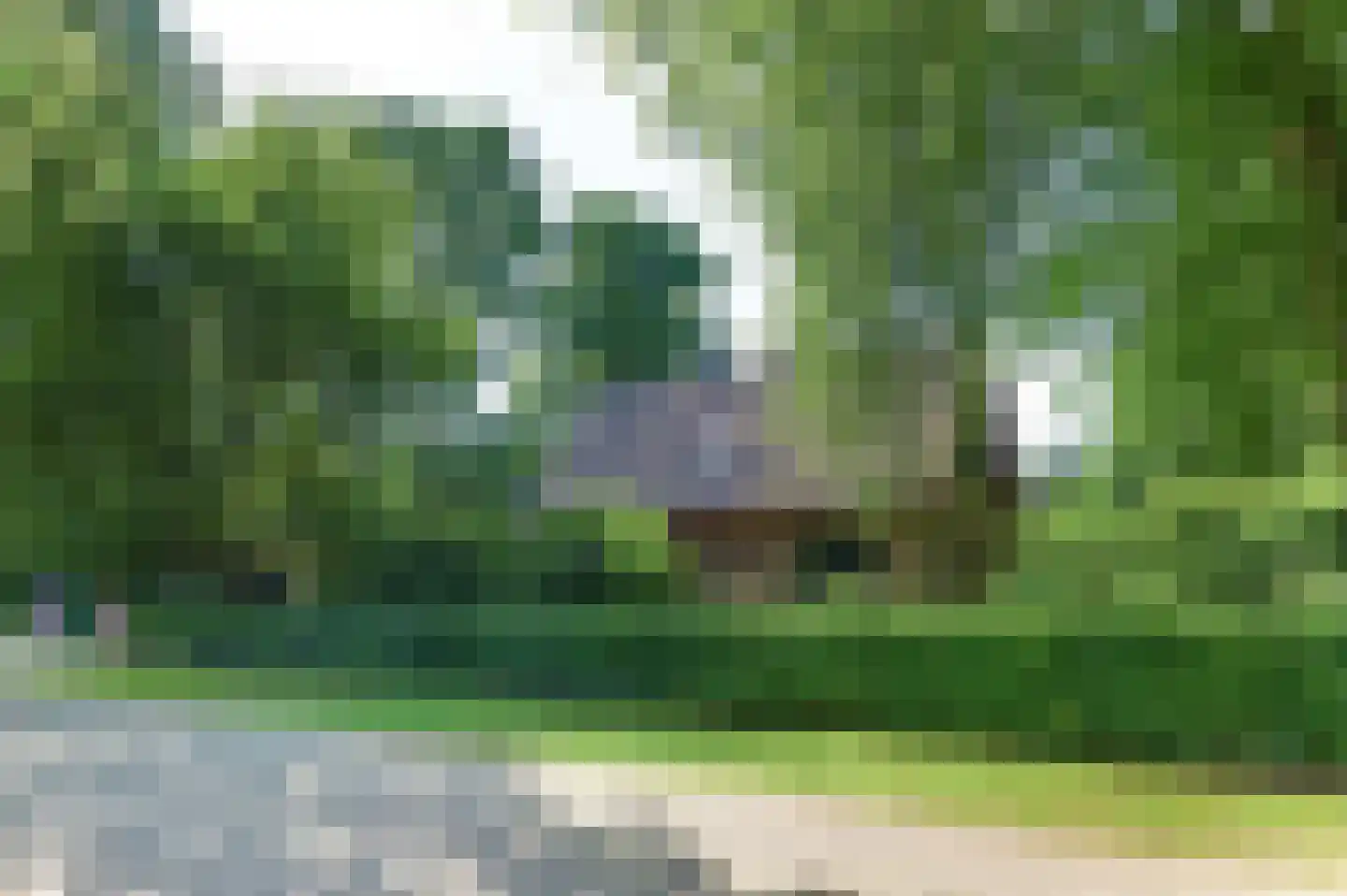 Beekweg 4 Hierden thumbnail 117