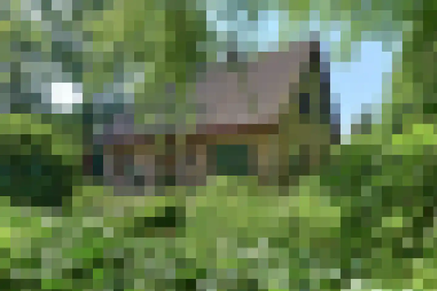 Beekweg 4 Hierden thumbnail 118