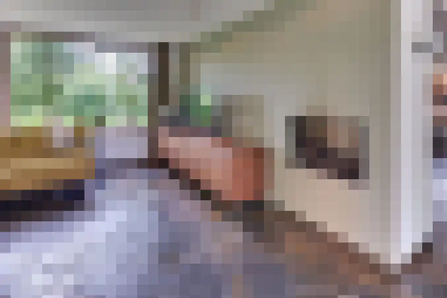 Beekweg 4 Hierden thumbnail 26