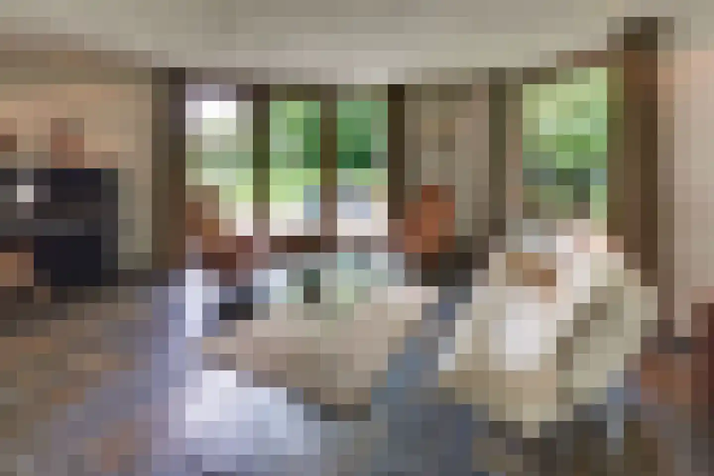 Beekweg 4 Hierden thumbnail 30
