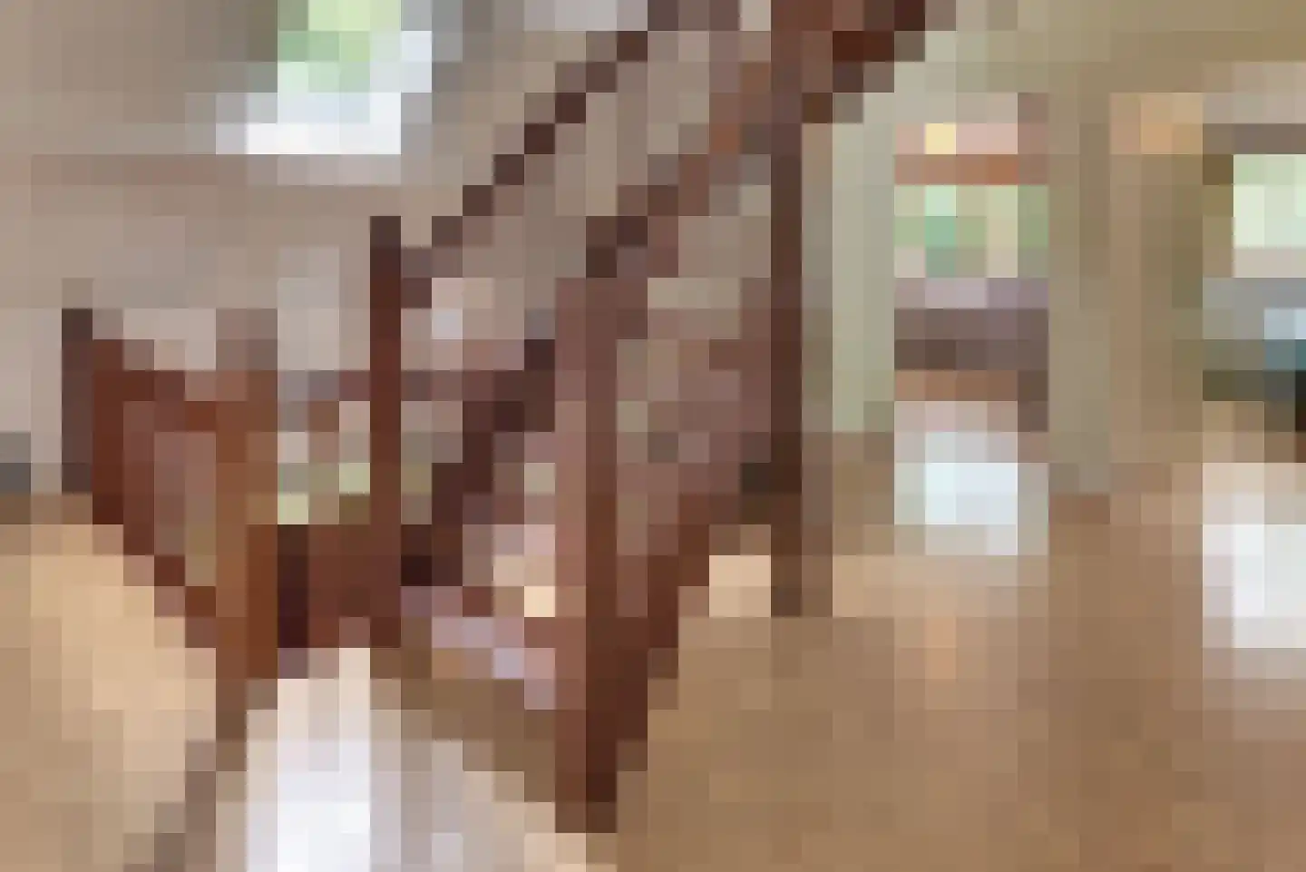 Beekweg 4 Hierden thumbnail 48