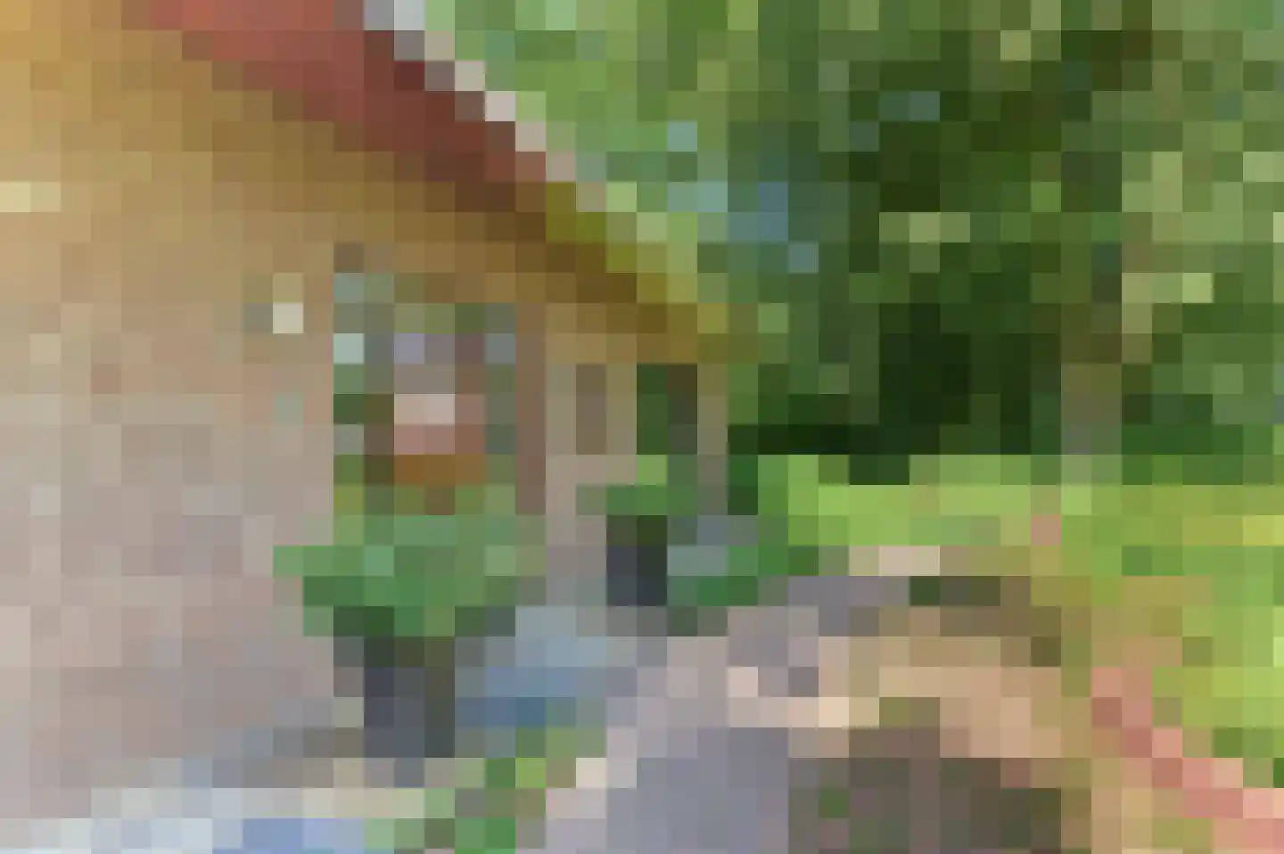Beekweg 4 Hierden thumbnail 5