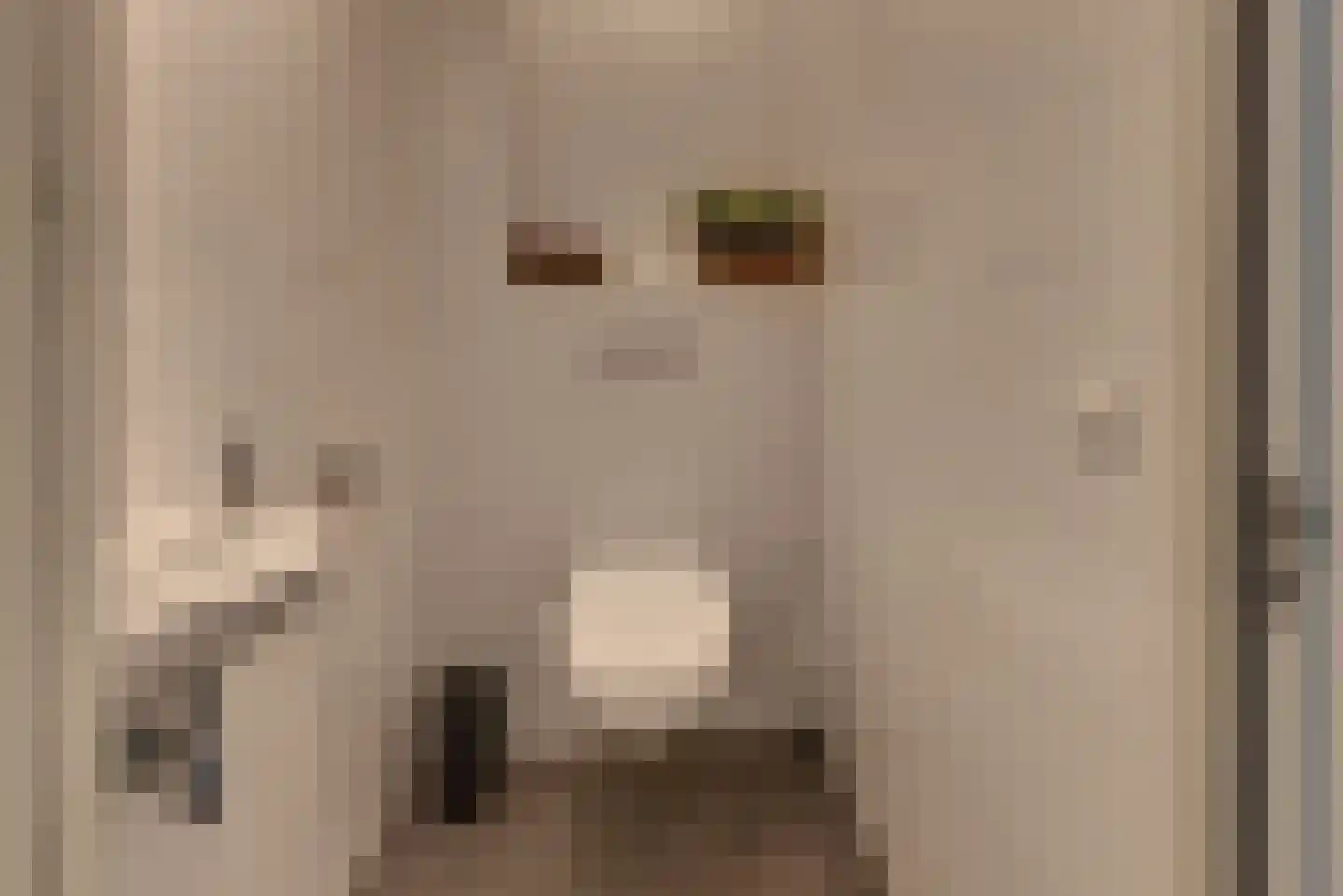 Beekweg 4 Hierden thumbnail 59