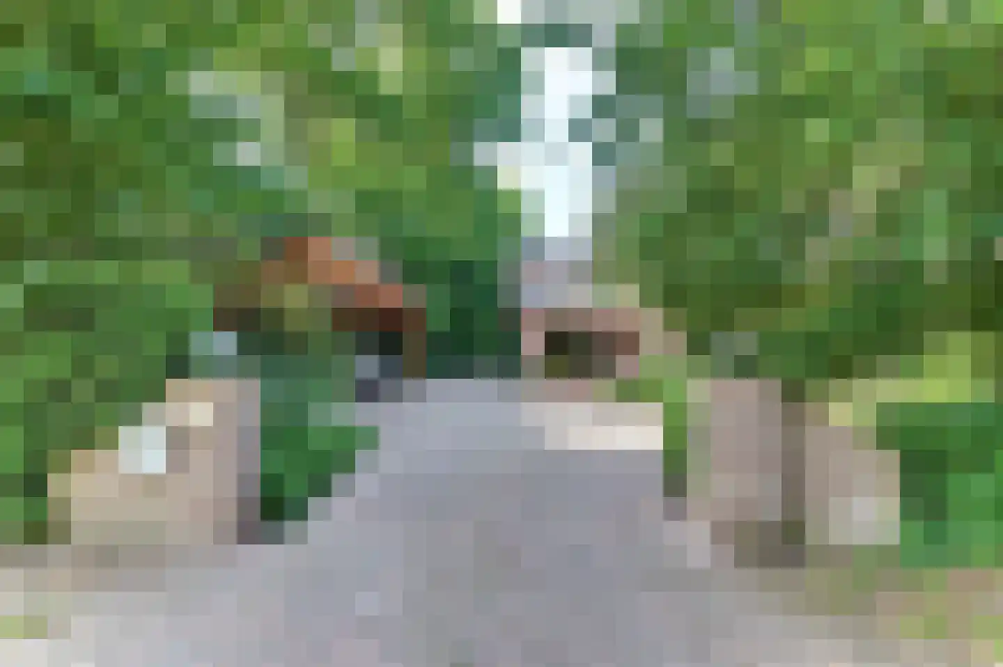 Beekweg 4 Hierden thumbnail 80