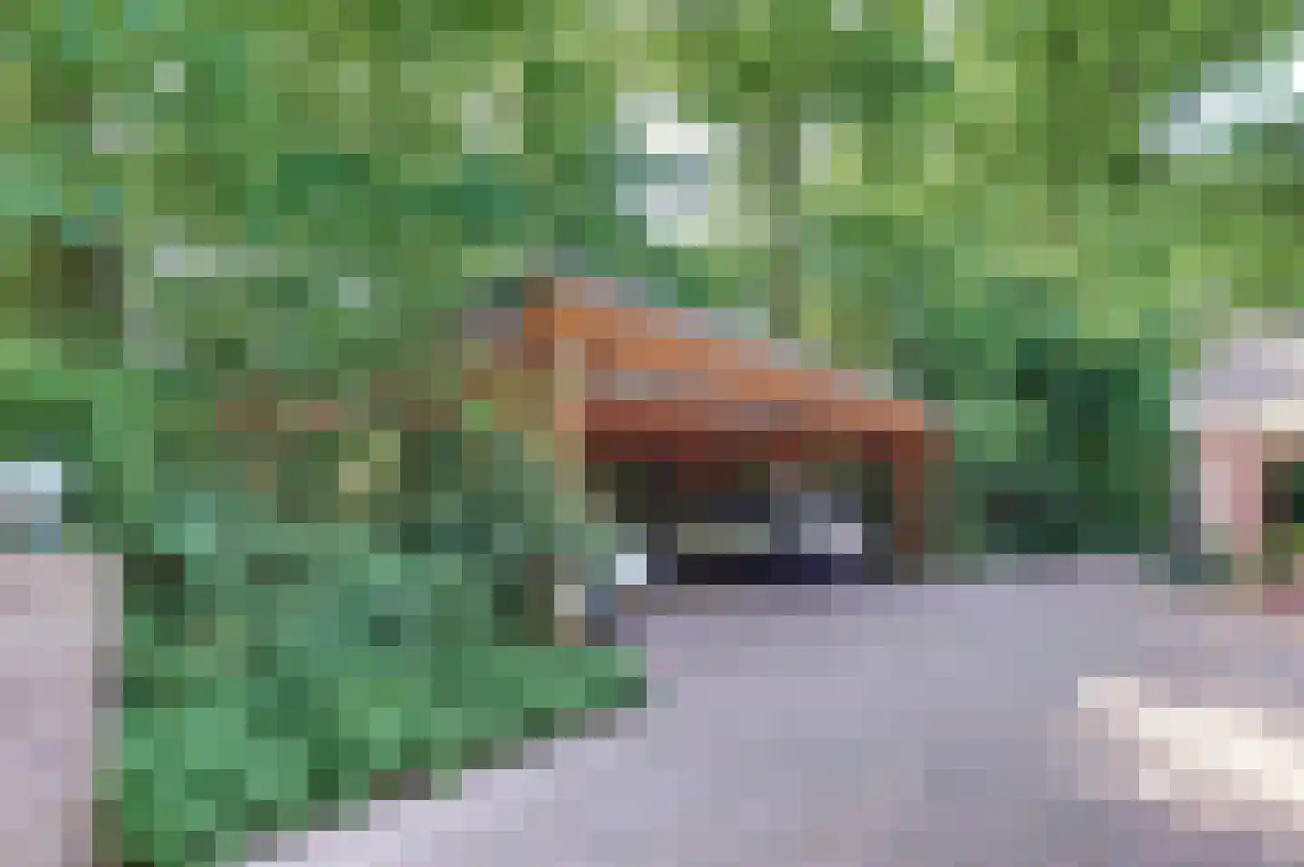 Beekweg 4 Hierden thumbnail 81