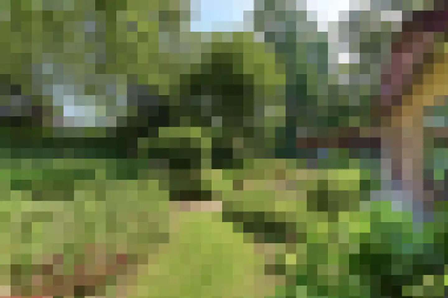 Beekweg 4 Hierden thumbnail 86