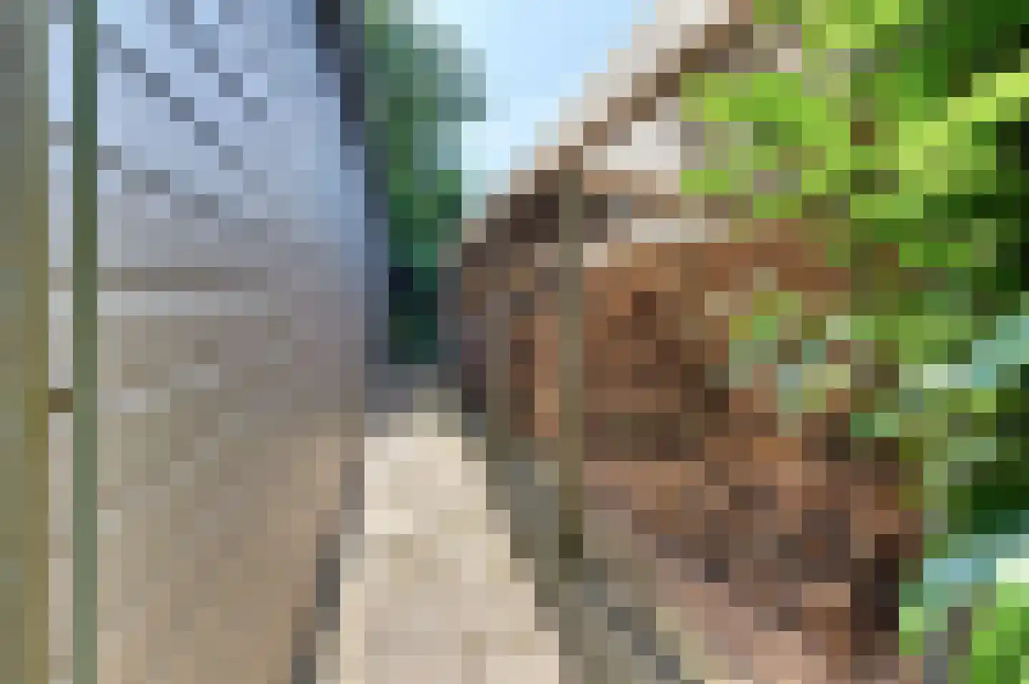 Beekweg 4 Hierden thumbnail 95