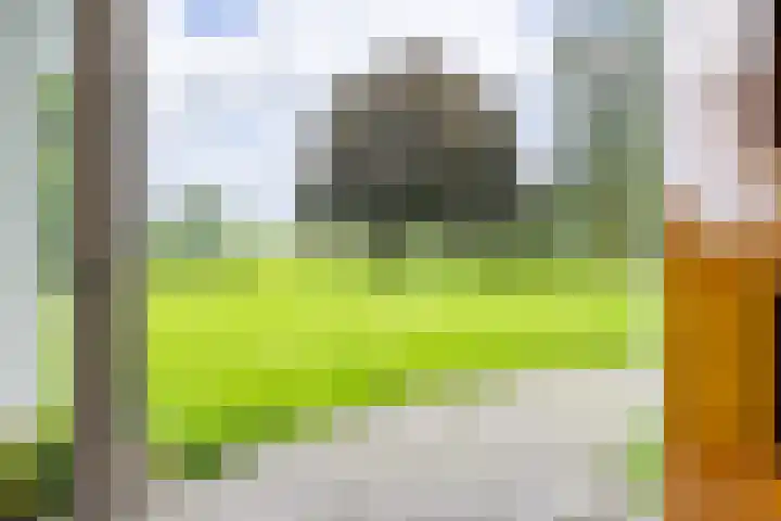 Beekweg 69 Merselo thumbnail 10