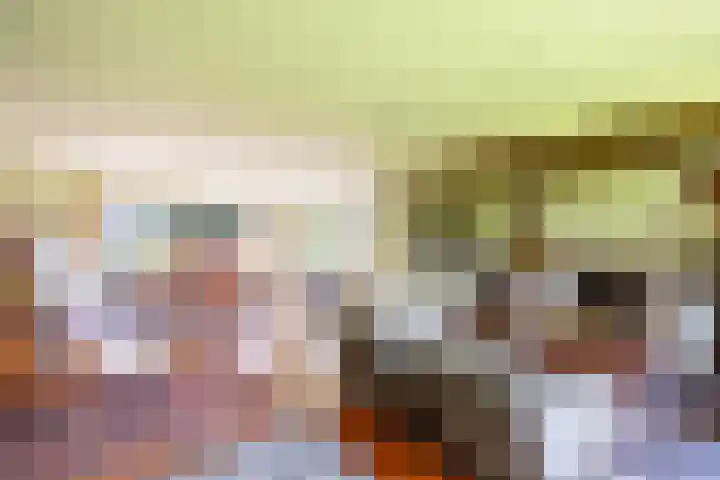 Beekweg 69 Merselo thumbnail 15