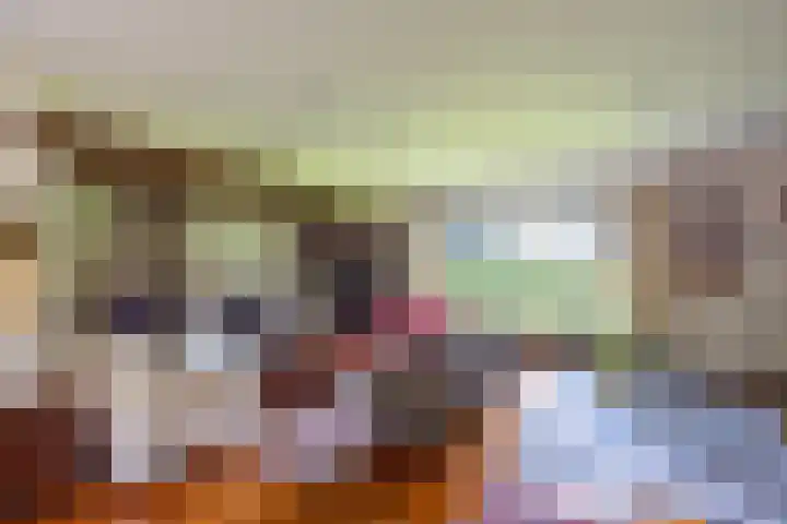 Beekweg 69 Merselo thumbnail 16