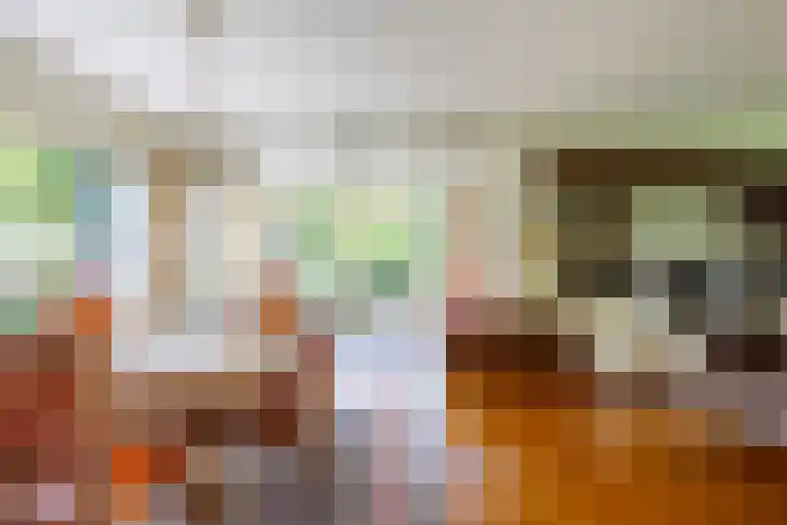 Beekweg 69 Merselo thumbnail 19