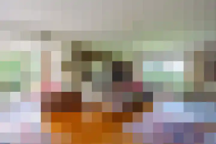 Beekweg 69 Merselo thumbnail 20
