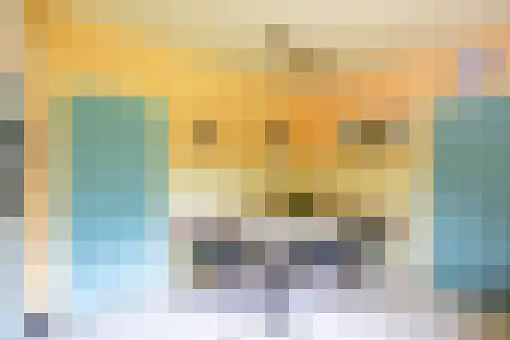Beekweg 69 Merselo thumbnail 26