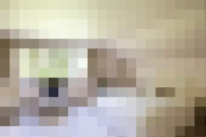Beekweg 69 Merselo thumbnail 35