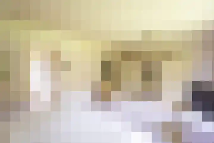 Beekweg 69 Merselo thumbnail 36