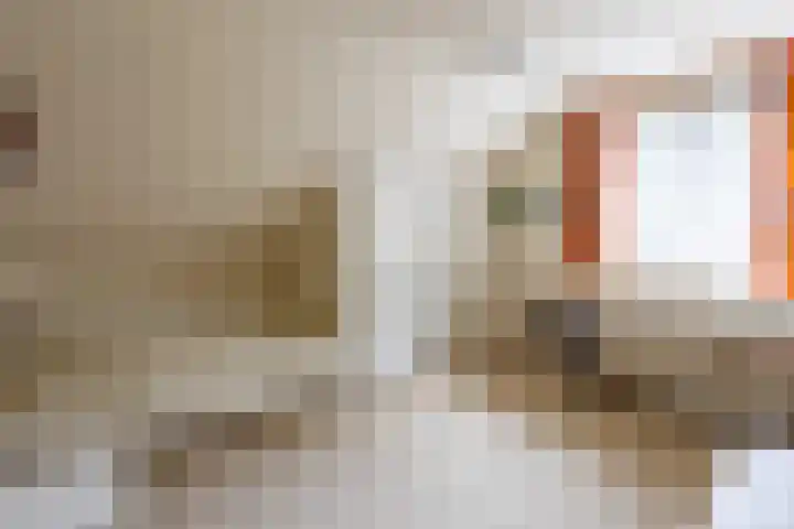 Beekweg 69 Merselo thumbnail 38