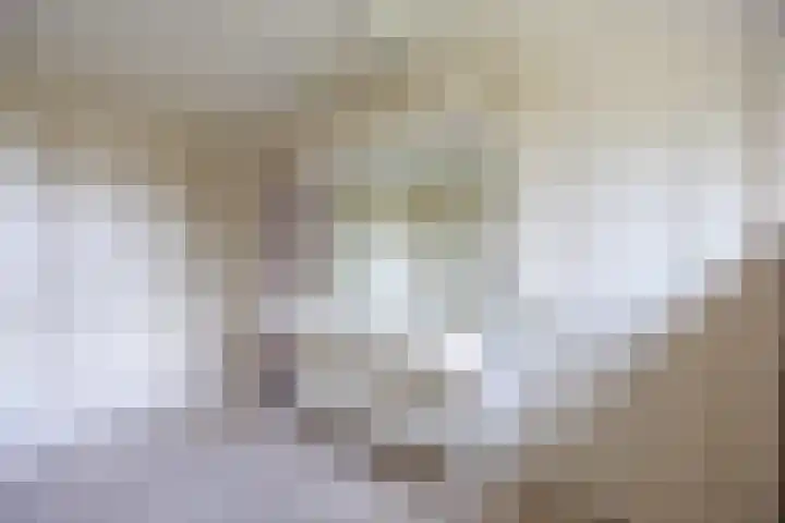 Beekweg 69 Merselo thumbnail 43