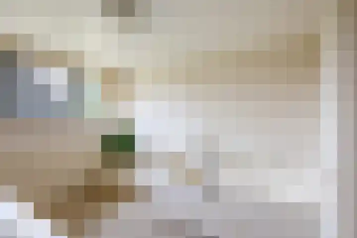 Beekweg 69 Merselo thumbnail 44