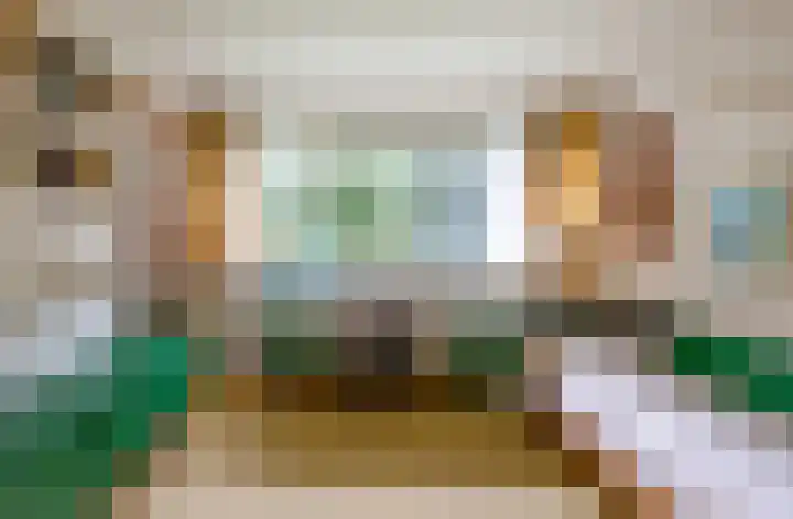 Beekweg 69 Merselo thumbnail 46