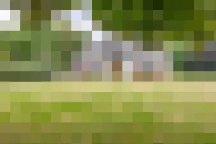 Beekweg 69 Merselo thumbnail 50