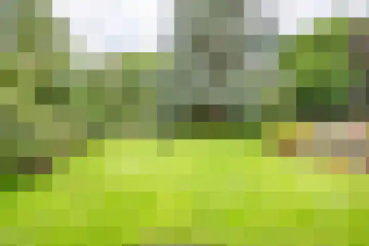 Beekweg 69 Merselo thumbnail 51