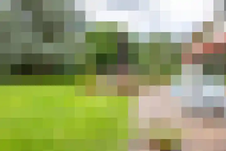 Beekweg 69 Merselo thumbnail 52
