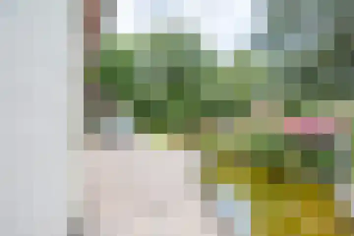 Beekweg 69 Merselo thumbnail 53