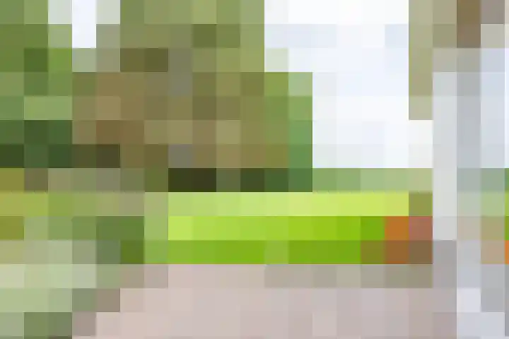 Beekweg 69 Merselo thumbnail 54