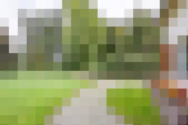 Beekweg 69 Merselo thumbnail 55