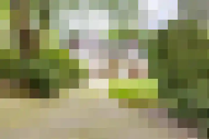 Beekweg 69 Merselo thumbnail 56