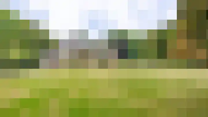 Beekweg 69 Merselo thumbnail 57