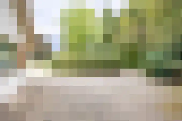 Beekweg 69 Merselo thumbnail 58