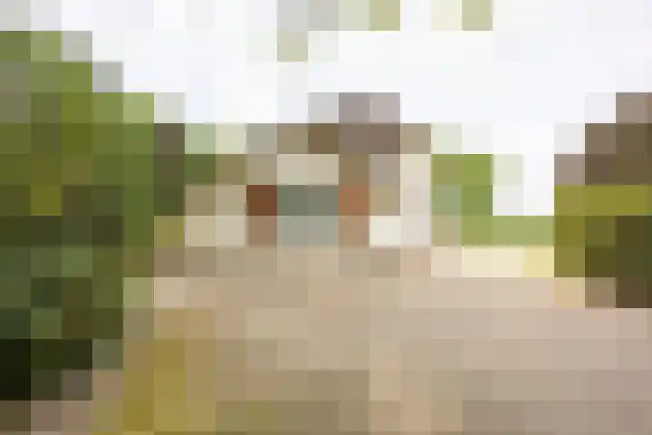 Beekweg 69 Merselo thumbnail 59