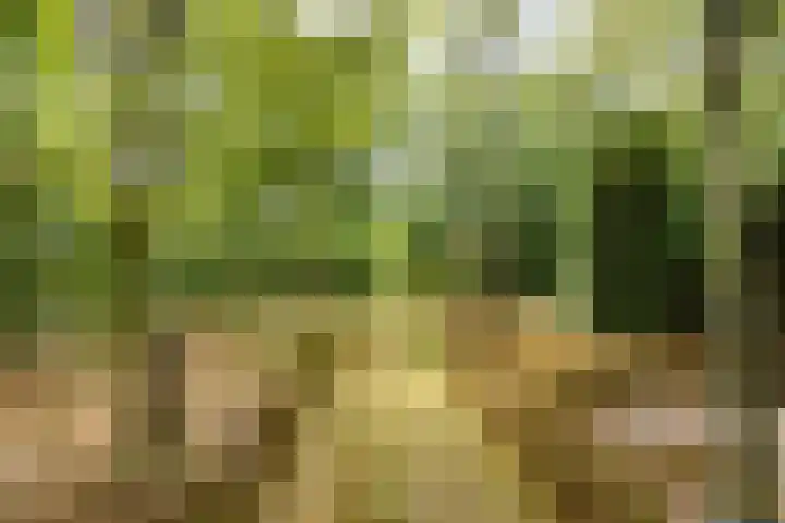 Beekweg 69 Merselo thumbnail 60