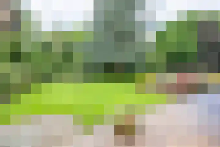 Beekweg 69 Merselo thumbnail 61