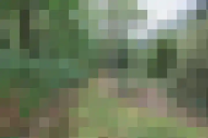 Beekweg 69 Merselo thumbnail 62
