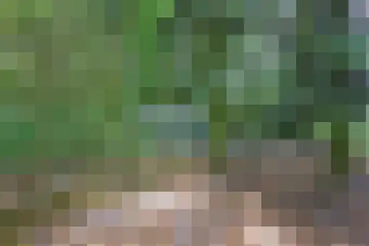 Beekweg 69 Merselo thumbnail 63