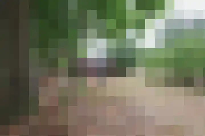 Beekweg 69 Merselo thumbnail 64
