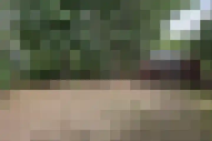Beekweg 69 Merselo thumbnail 65