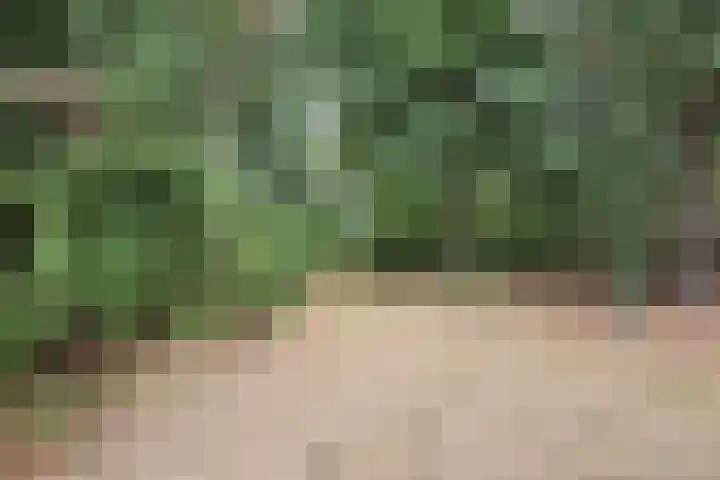 Beekweg 69 Merselo thumbnail 66