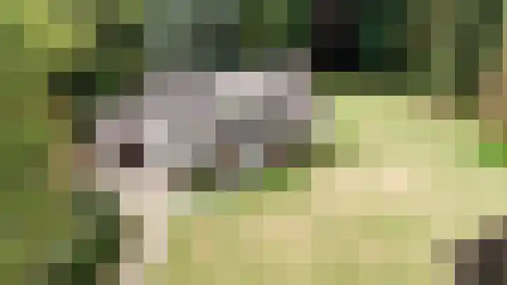 Beekweg 69 Merselo thumbnail 67