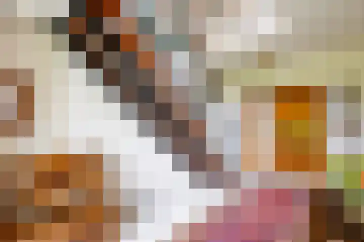 Beekweg 69 Merselo thumbnail 8
